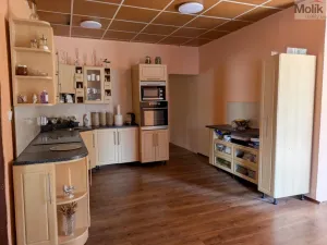 Prodej komerční nemovitosti, Litvínov - Horní Litvínov, Alešova, 506 m2
