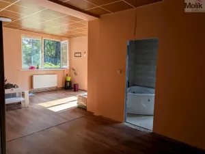 Prodej komerční nemovitosti, Litvínov - Horní Litvínov, Alešova, 506 m2