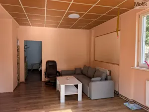 Prodej komerční nemovitosti, Litvínov - Horní Litvínov, Alešova, 506 m2