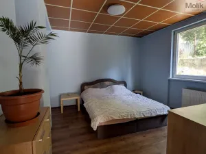 Prodej komerční nemovitosti, Litvínov - Horní Litvínov, Alešova, 506 m2