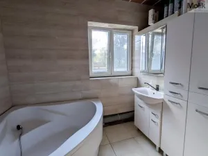 Prodej komerční nemovitosti, Litvínov - Horní Litvínov, Alešova, 506 m2