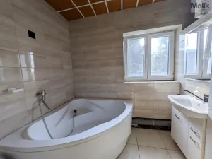 Prodej komerční nemovitosti, Litvínov - Horní Litvínov, Alešova, 506 m2