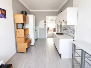 Pronájem bytu 1+1, Klatovy - Klatovy V, Plánická, 52 m2