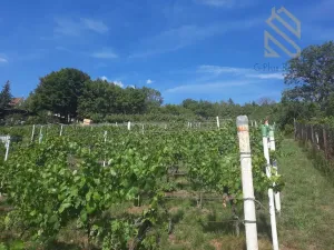 Prodej rodinného domu, Velké Žernoseky, 235 m2