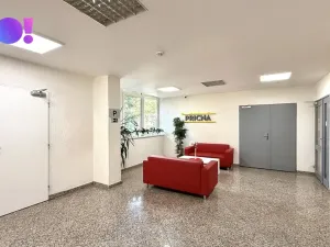 Pronájem kanceláře, Havířov, Dělnická, 116 m2