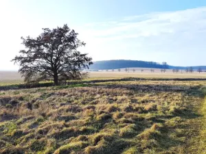 Prodej rodinného domu, Sopřeč, 105 m2