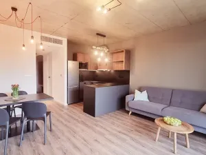 Pronájem bytu 2+kk, Brno, V rejích, 49 m2