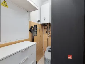 Prodej rodinného domu, Lužec nad Vltavou, Podřipská, 66 m2