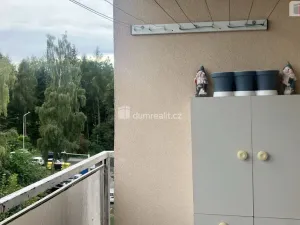 Prodej bytu 3+kk, Horní Slavkov, U Lesoparku, 64 m2
