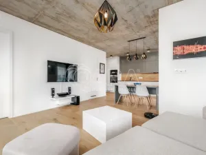 Pronájem bytu 2+kk, Praha - Karlín, Breitfeldova, 66 m2