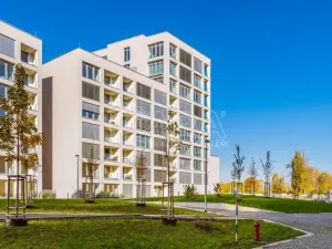 Pronájem bytu 2+kk, Praha - Karlín, Breitfeldova, 66 m2