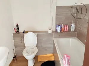 Pronájem bytu 1+kk, Netolice, Mírové Náměstí, 32 m2