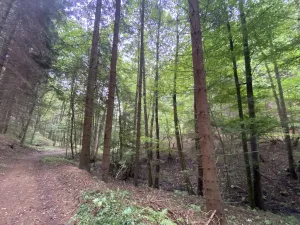 Prodej louky, Strážná, 2049 m2