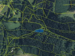 Prodej louky, Strážná, 2049 m2