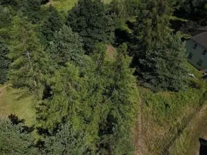 Prodej pozemku, Čtyřkoly, 3254 m2