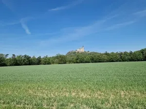 Prodej pozemku pro bydlení, Ráby, 981 m2
