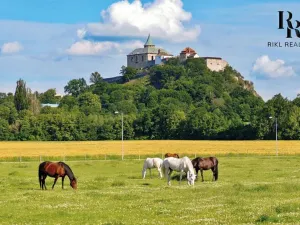 Prodej pozemku pro bydlení, Ráby, 998 m2