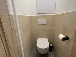 Pronájem bytu 3+1, Olomouc - Nová Ulice, Tererovo nám., 61 m2
