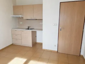 Pronájem bytu 1+kk, Hradec Králové, třída Edvarda Beneše, 30 m2