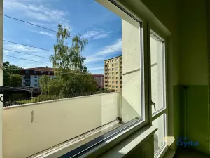 Prodej bytu 2+1, Cheb, Americká, 58 m2
