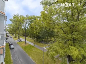Pronájem bytu 3+kk, Karviná, V Aleji, 65 m2