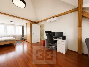 Pronájem rodinného domu, Brno, Březinova, 362 m2
