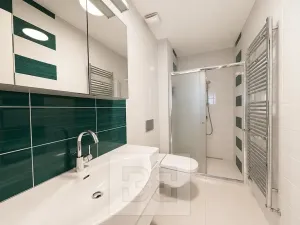 Pronájem rodinného domu, Brno, Březinova, 362 m2