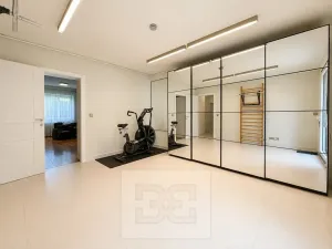 Pronájem rodinného domu, Brno, Březinova, 362 m2