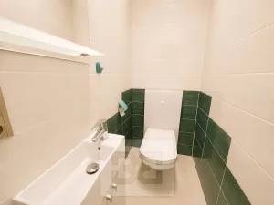 Pronájem rodinného domu, Brno, Březinova, 362 m2