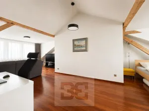 Pronájem vily, Brno, Březinova, 362 m2
