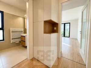 Pronájem bytu 1+kk, Brno, Pod Kavkami, 30 m2