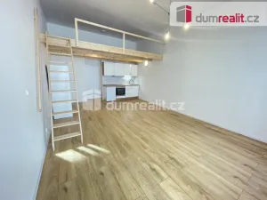 Pronájem bytu 1+kk, Praha - Smíchov, Na Valentince, 45 m2