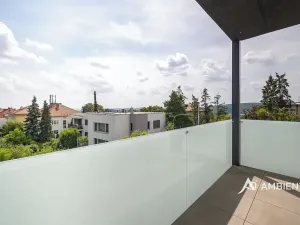Prodej bytu 5+kk, Brno, 179 m2