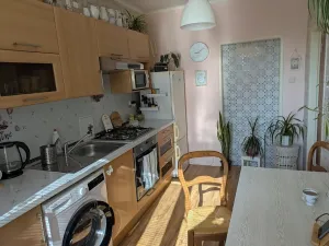 Pronájem bytu 1+1, Opava, Hany Kvapilové, 38 m2