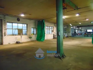 Pronájem výrobních prostor, Skuteč, Zvěřinova, 311 m2