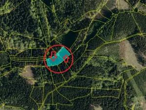 Prodej podílu lesa, Valašská Polanka, 1373 m2