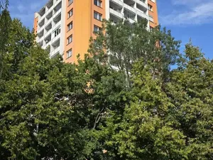 Prodej bytu 3+1, Břeclav, sídl. Dukelských hrdinů, 69 m2