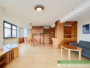 Prodej bytu 2+kk, Praha - Vinohrady, Chrudimská, 113 m2