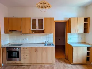 Prodej bytu 1+1, Plavy, 64 m2