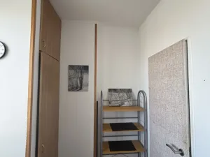 Prodej bytu 1+1, Znojmo, Pražská, 37 m2