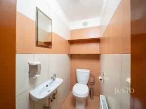 Prodej bytu 1+kk, Třeboň - Třeboň II, Šmeralova, 42 m2