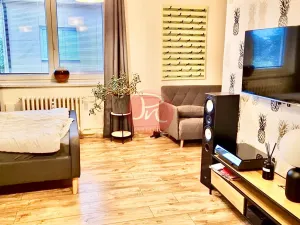 Pronájem bytu 1+1, Ostrava, Garážní, 40 m2
