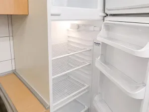 Pronájem bytu 2+kk, Praha - Nové Město, Koubkova, 51 m2