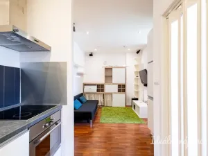 Pronájem bytu 2+1, Praha - Bubeneč, Národní obrany, 46 m2