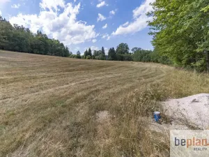 Prodej pozemku pro bydlení, Merklín, 1038 m2