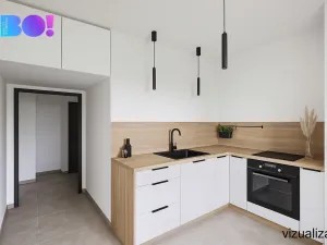 Prodej bytu 1+1, Karviná, Borovského, 43 m2
