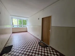 Prodej bytu 1+1, Most, Josefa Dobrovského, 28 m2