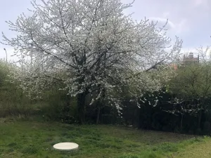 Pronájem bytu 2+kk, Olomouc, U solných mlýnů, 73 m2
