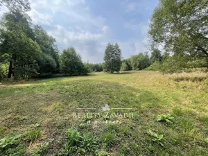 Prodej zahrady, Bystřice, 2586 m2