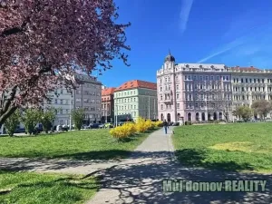 Pronájem bytu 1+kk, Praha - Nové Město, Petrská, 30 m2